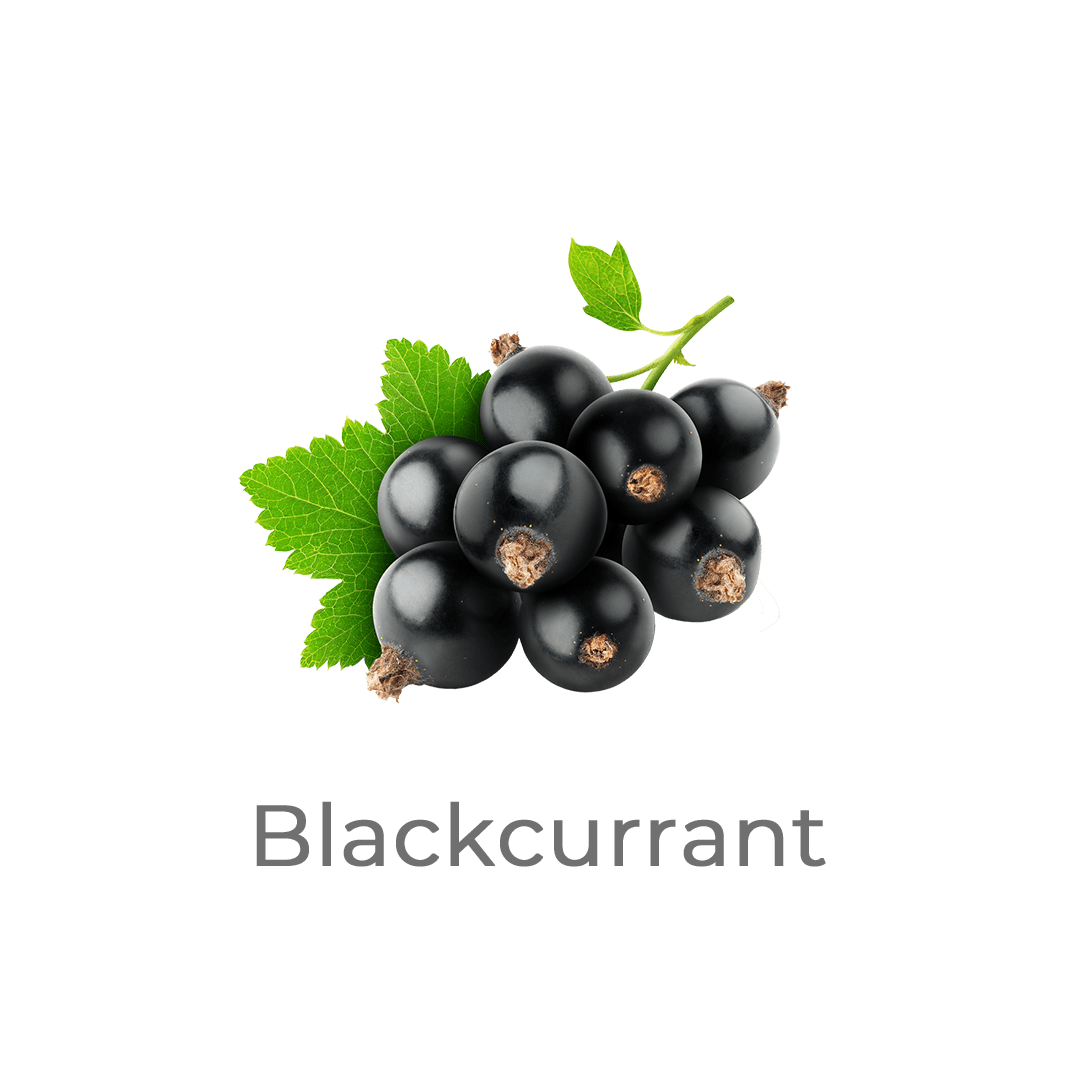 blackcurrant