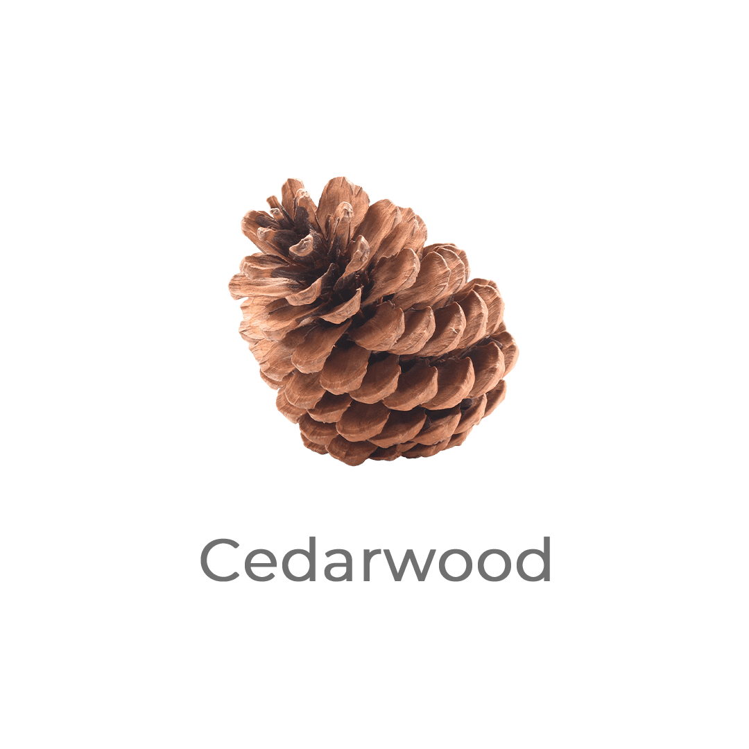 cedarwood