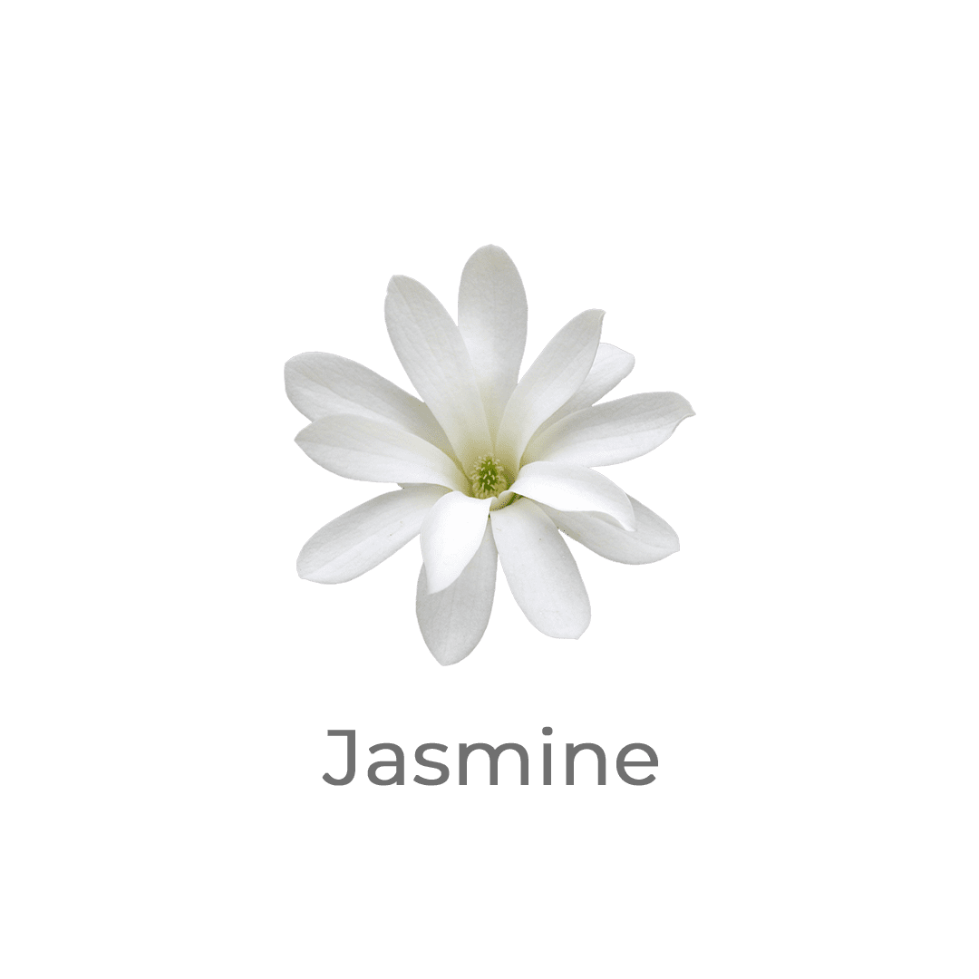 jasmine