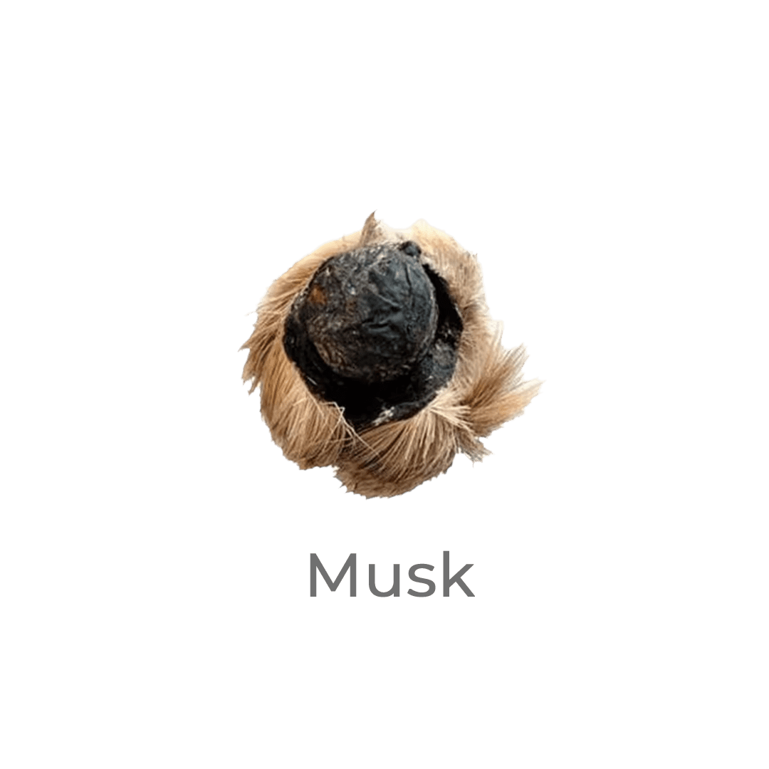 musk