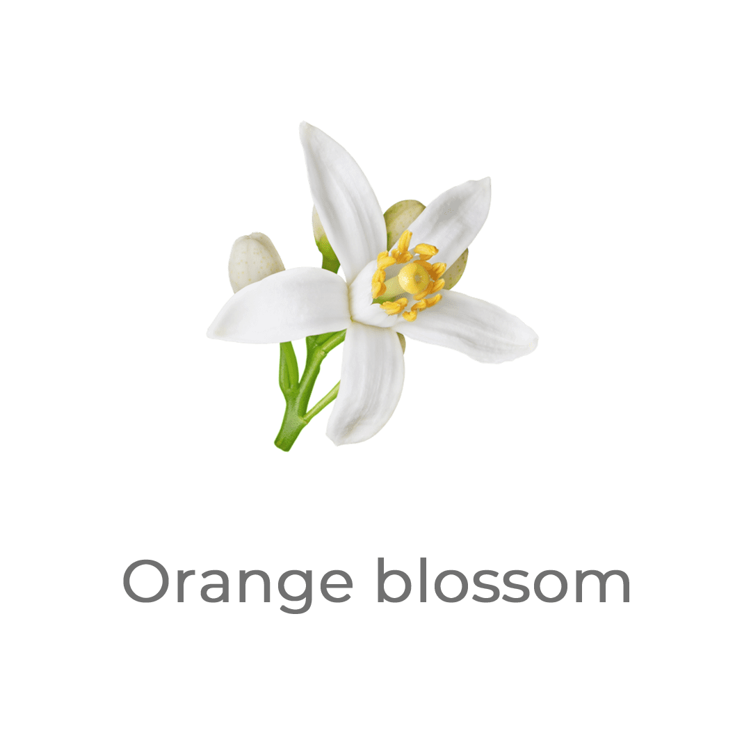 orange-blossom