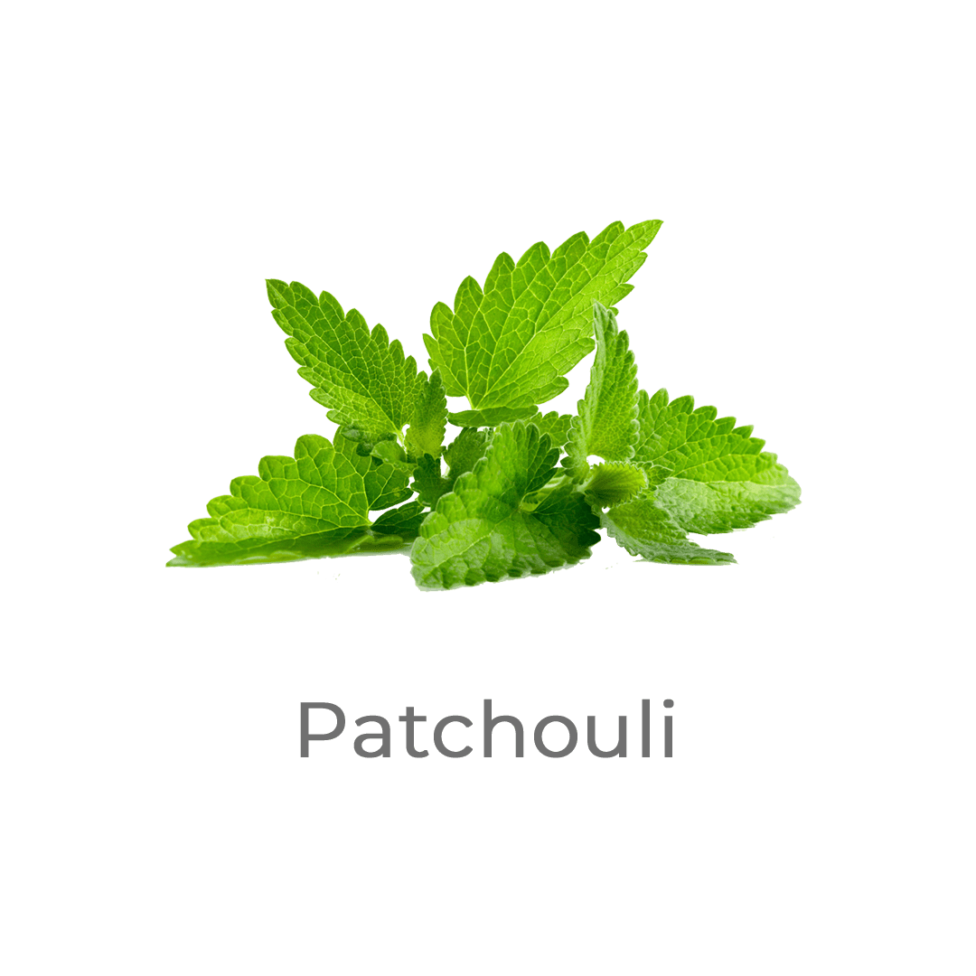 patchouli