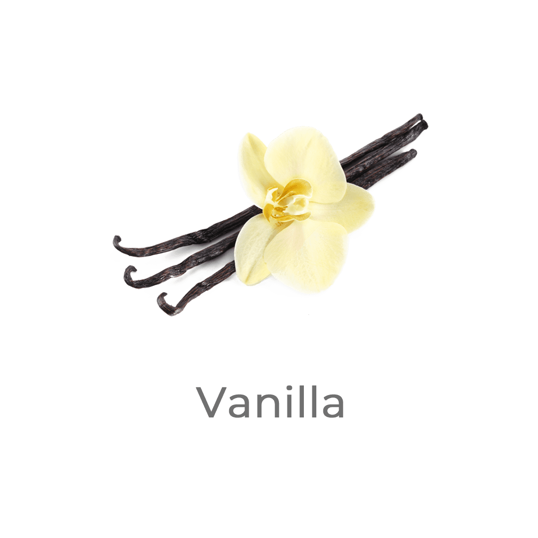 vanilla